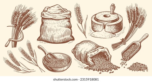 Farm wheat concept. Hand drawn bakery vector illustration set. Baking bread, food collection