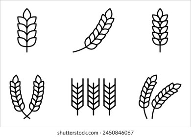 Farm wheat ears icon set. vector illustration on white background. eps 10