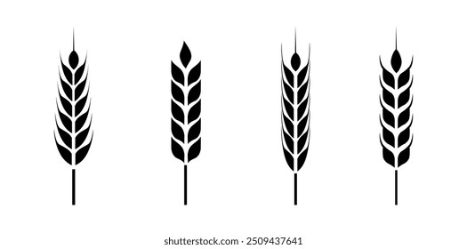 Ícone de orelhas de trigo agrícola conjunto ilustração vetorial, Ícones de orelhas de trigo e Conjunto de logotipo. Trigo orgânico, pão Símbolo agrícola isolado. Grãos, espiguetas e grinalda. Plantas orgânicas de trigo , panificação.
