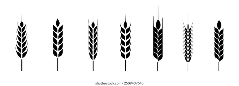 Ícone de orelhas de trigo agrícola conjunto ilustração vetorial, Ícones de orelhas de trigo e Conjunto de logotipo. Trigo orgânico, pão Símbolo agrícola isolado. Grãos, espiguetas e grinalda. Plantas orgânicas de trigo , panificação.