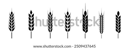 Farm wheat ears icon set vector illustration, Wheat Ears Icons and Logo Set. Organic wheat, bread Agriculture symbol isolated. Grain, spikelet and wreath. Organic wheat plants , bread agriculture.