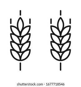 Farm wheat ears icon vector template.for organic eco business, agriculture, bakery, logo design. color editable