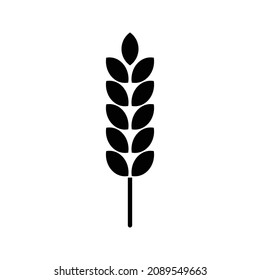 Farm wheat ears icon vector template. color editable on white background. eps 10