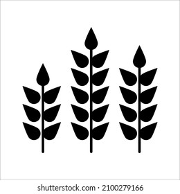 Farm wheat ears icon vector template. color editable on white background. eps 10