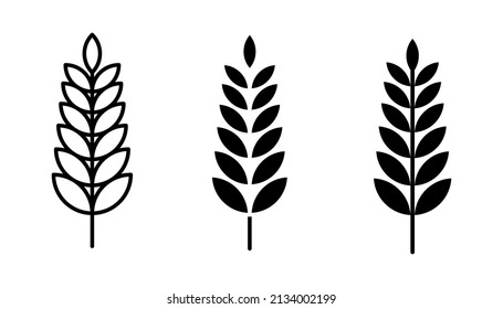 Farm wheat ears icon vector template. color editable on white background. eps 10