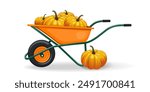 Farm wheelbarrow filled with ripe appetizing pumpkins. Wheelbarrow with pumpkins isolated on white background. Vector illustration