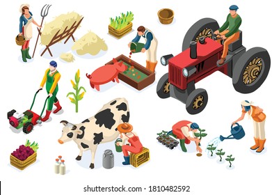 Farm worker production on planting or animals. Working organic farmer on tractor, agricultural people and fruits. Women on garden work harvest garden fruit. Agricultural worker farmer working on plant