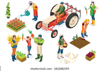 Farm worker production on planting or animals. Working organic farmer on tractor, agricultural people and fruits. Women on garden work harvest garden fruit. Agricultural worker farmer working on plant