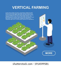 A farm worker in a white coat checks the plants in aeroponic vertical grow racks using a special electronic device. Website page template concept.