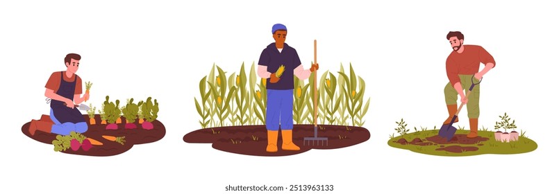 Trabalhadores agrícolas. Colheita agrícola, homens fazendo jardinagem e criação, pessoas colhendo colheita e cuidado com plantas conjunto de ilustração de vetor plano. Cenas de trabalho da fazenda