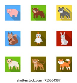 Farm, zoo, ecology and other web icon in flat style.Australia, nature, toys, Australia, nature, toys,