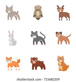 Farm, zoo, ecology and other web icon in cartoon style.Australia, nature, toys, Australia, nature, toys,