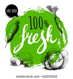 Farmer 100% fresh veggies design template. Green rough circle with hand painted letters. Engraving sketch style vegetables. Potatoes, carrotwith leafs, beet root and cabbage. 