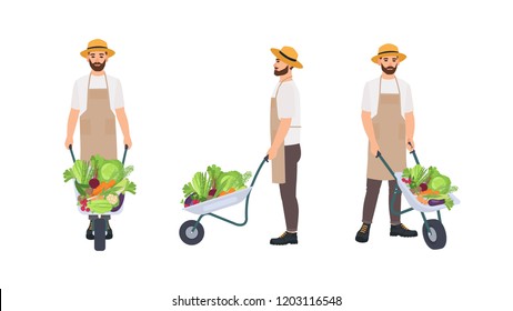 Agricultores o trabajadores agrícolas tirando carretillas llenas de cultivos recolectados. Caricatura masculina aislada de fondo blanco. Vistas frontales, laterales y traseras. Ilustración vectorial colorida en estilo plano.
