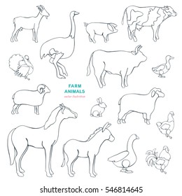 Farmer animals vector illustration set. Goat, ostrich, pig, turkey, ram, cow, bull, duck, rabbit, sheep, horse, donkey, goose, chicken, rooster. Countryside, rural cattle, poultry. Contour cartoon.
