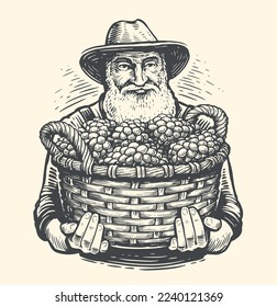 Farmer with a basket of grapes drawn in vintage engraving style. Viticulture, vineyard sketch. Vector illustration