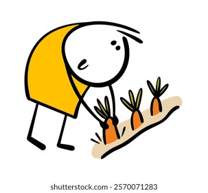 Farmer bent down and planted vegetables in the ground. Vector illustration funny stickman harvests, ripe carrots or turnips, organic food. Isolated cartoon  character on white background.
