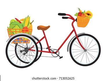 Farmer bike with baskets full of fruit and vegetables, vector illustration