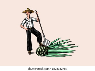 Farmer With Blue Agave Plant. Mexican Man. Tequila Production Process. Retro Poster Or Banner. Engraved Hand Drawn Vintage Sketch. Woodcut Style. 