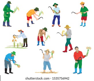 farmer cartoon shape harvest rice vector design