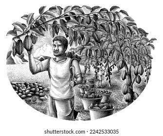 Farmer with cocoa hand drawing engraving style clip art