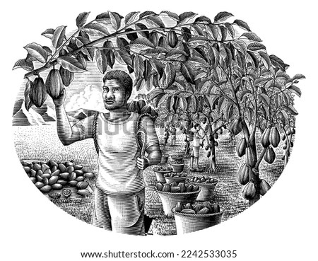 Farmer with cocoa hand drawing engraving style clip art