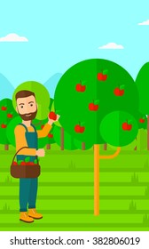 Agricultor recogiendo manzanas.