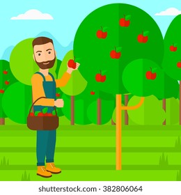 Agricultor recogiendo manzanas.