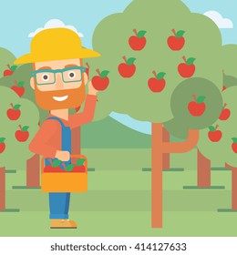Farmer collecting apples.