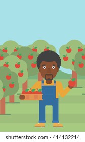 Farmer collecting apples.
