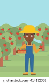 Farmer collecting apples.