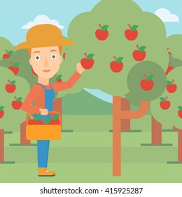 Farmer collecting apples.