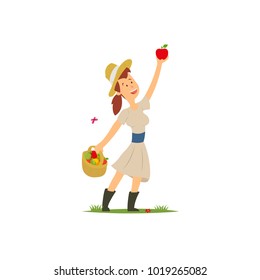 Farmer collecting apples. vector illustration