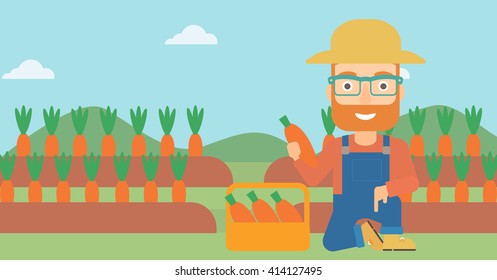 Farmer collecting carrots.