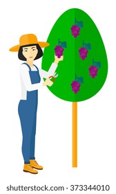 Agricultor recolectando uvas.