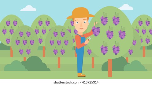 Agricultor recolectando uvas.