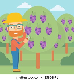 Agricultor recolectando uvas.
