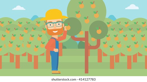 Agricultores recolectando naranjas.