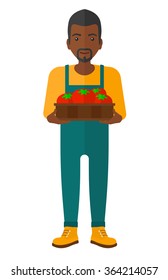 Farmer collecting tomatoes.