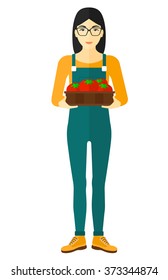 Farmer collecting tomatos.