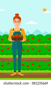 Bauern, die Tomaten sammeln.
