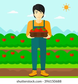 Farmer collecting tomatos.