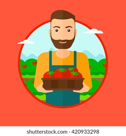 Farmer collecting tomatos.
