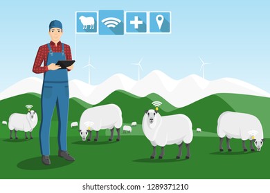 A farmer with a computer tablet is grazing a herd of sheep on a smart farm. Vector illustration