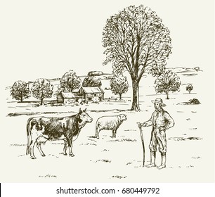 Farmer with cow ad sheep, rural landscape.