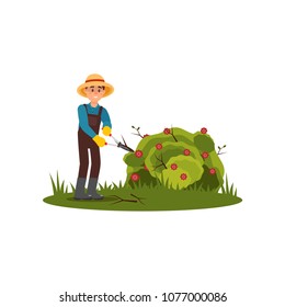 Farmer cuts dry branches on green bush with flowers. Young guy working in garden. Flat vector design