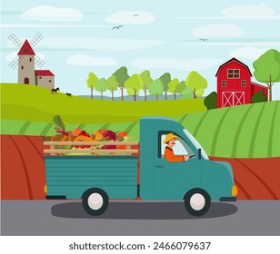 A farmer drives a truck with vegetables.  Harvesting, fields, barn, mill, rural landscape. Vector illustration.