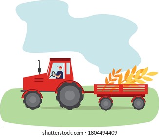 Tractor de conducción agrícola en ilustraciones de campo. Trigo amarillo, centeno o cebada en carreta. Hombre que trabaja en una granja utilizando maquinaria agrícola. Horticultura y negocios de labranza. Cosechando cultivos.