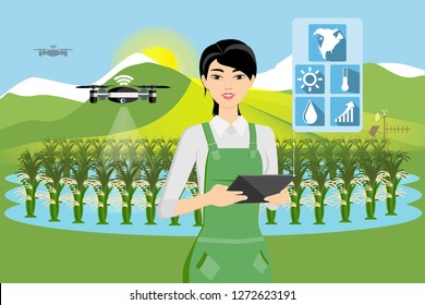 Farmer and drone are watering vegetables in a field. Smart farming