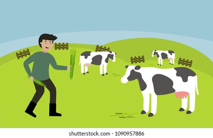 Farmer feeding grass to cows in the natural farm.